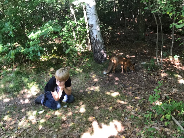 Femmornas lägerskola